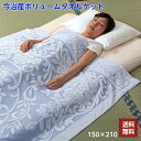 今治 タオルケット 150×210 日本製 ブルー 綿100％ 今治産 大判 ボリュームタオルケット