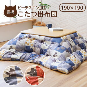 zc |zc 􂦂 唻 ` 190×190 k  킢 L ˂ a_ |zc R^czc | ӂ CPqR  | s[`XL