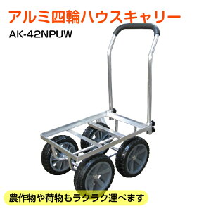 A~X A~nEXJ[ 4 m[pN A~ nEXL[ ReiJ[ Rei ^ A~^ n  AK-42NPUW yꌧEzւ̔z͕s
