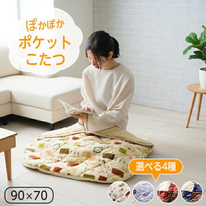 |Pbg  lp  90×70 e[N AEghA ACe Mbx Mx 􂦂 ۂ  ӂ tl CPqR