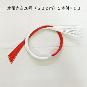 Ԕ20i60cmj5{t@×@10{Zbg