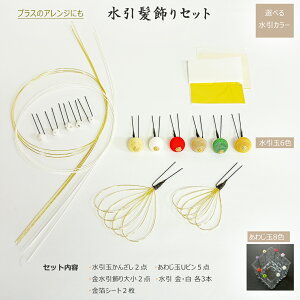 17_Zbg@l@߁@䂩@Ǝ@с@OB@@ANZT[