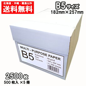 コピー用紙 B5 2500枚(500枚×5冊) APPJ 高白色 印刷 用紙 送料無料 b5 1ケース