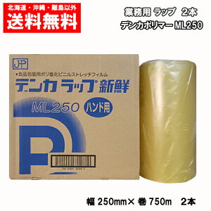 �f���J���b�v �V�N ML250 �n���h�p 250mm×750m 2�{ �������� �Ɩ��p ���b�v 1�P�[�X