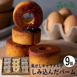 X̒ łLݍ񂾃o[l 9 MRB-01A (ʑ݉i) (-95047-02-) (t3) | j Mtg j oYj o j Cj Ԃ u mَq ĉَq H