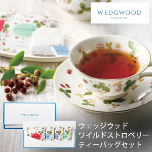 EFbWEbh Ch Xgx[ eB[obOZbgiv`Mtgpj WEWT-4 (-95014-01-) (t3) | j Mtg oYj o j Cj Ԃ u