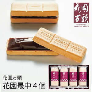 ԉ ԉŒ 4 HM-036 (ʑ݉i) (-95025-05-) (t3) | j Mtg oYj o j Cj Ԃ u