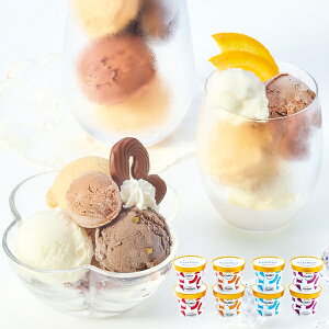 (YnE) K[v~AACXN[8Zbg (-K8466-803A-) | j Mtg oYj o j Cj Ԃ u