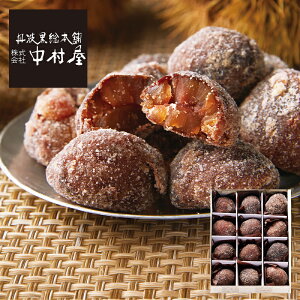 (YnE) Og{ uaI[v (-G1568-307A-) | j Mtg oYj o j Cj Ԃ u