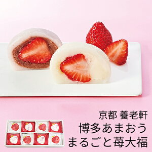 (YnE) Ε Mtg s {V ܂ ܂邲䕑啟 (-4508-402-) | Ε N j j Ԃ jԂ  䈥A a Mtg v[g oYj