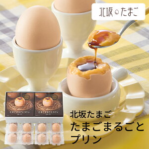 (YnE) Ε Mtg k₽܂ ܂܂邲ƃv (-4511-704-) | Ε N j j Ԃ jԂ  䈥A a Mtg v[g oYj  