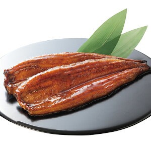 (YnE) Ε Mtg BYȂ (-4544-506-) | Ε N j j Ԃ jԂ  䈥A a Mtg v[g oYj  Cj  