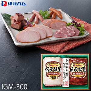 Ε ɓn nMtg ` ( IGM-300 ) [J[  | Ε A [Xn ē lC 2025