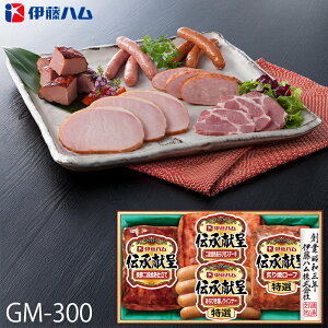 Ε ɓn nMtg ` ( GM-300 ) [J[  | Ε A ECi[ ē [t lC 2025