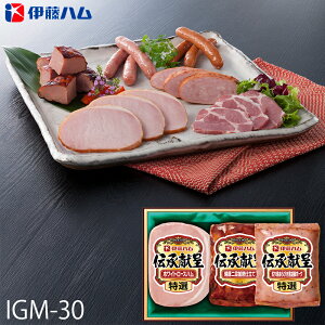 Ε ɓn nMtg ` ( IGM-30 ) [J[  | Ε A zCg[Xn ē lC 2025