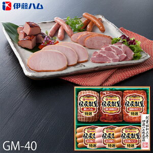 Ε ɓn nMtg ` ( GM-40 ) [J[  | Ε A n ECi[ lC 2025