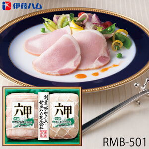 Ε ɓn [XnMtg Zb ( RMB-501 ) [J[  | Ε A zCg[Xn n lC 2025