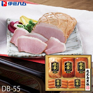 Ε ɓn Y nMtg ` ( DB-55 ) [J[  | Ε A n ECi[ lC 2025