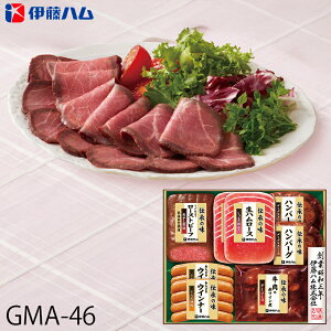 Ε ɓn [Xgr[toGeBMtg `̖ ( GMA-46 ) [J[  | Ε A ቷ^󒲗 lC 2025