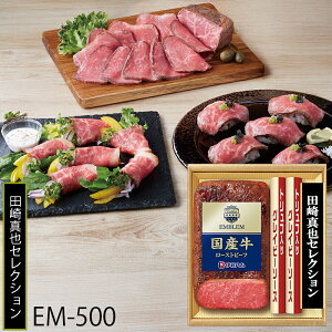 Ε ɓn c^ďC Y[Xgr[t ( EM-500 ) [J[  | Ε A OCr[\[Xt lC 2025