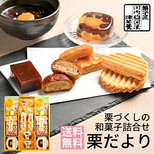 河内駿河屋 和菓子 栗だより MD-20 (送料込価格) (t0) | 送料無料 内祝い お祝い お返し お祝い返し お礼 ご挨拶 出産内祝い 結婚 快気祝い お供え 香典返し 志 人気 おすすめ 和菓子 菓子折り 栗