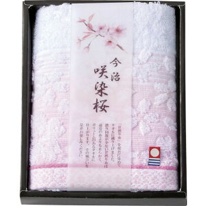 ^I  tFCX^I SZ-1001 (-L9035-510-) | j Mtg oYj o j Cj Ԃ u