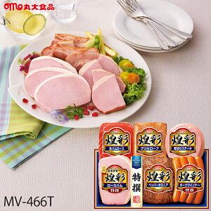 Ε n Mtg ۑHi  ( MV-466T ) [J[  ۑn | Ε A [Xn ECi[ n lC 2025