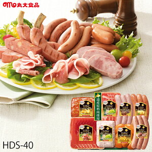 Ε n Mtg ۑHi kCnMtgB ( HDS-40 ) [J[  ۑn | Ε A n n ECi[ lC 2025