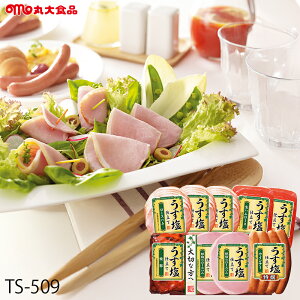 Ε n Mtg ۑHi d ( TS-509 ) [J[  ۑn | Ε A [Xn n ē lC 2025