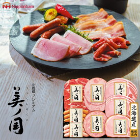 お歳暮 ハムギフト 北海道 プレミアム 美ノ国 ( UKH-48 ) 日本ハム メーカー直送 送料無料 ニッポンハム (t4)| 御歳暮 ご挨拶 熟成ロースハム ウインナー 人気 2025