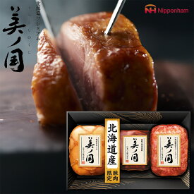 お歳暮 ハムギフト 北海道 プレミアム 美ノ国 ( UKH-49 ) 日本ハム メーカー直送 送料無料 ニッポンハム (t4)| 御歳暮 ご挨拶 ももハム ミートローフ 焼豚 人気 2025