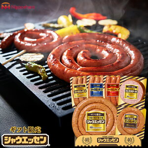 Ε Mtg VEGbZ ( SEG-500 ) {n [J[  jb|n (t4)| Ε A 邮銪VEGbZ lC 2025