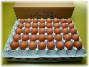 w܂뗑@80@M`LTCY@iۏ20)