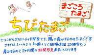 【送料無料！】北海道・沖縄 送料別途500円訳ありちびたまご 90個（割れ保証20個含む）　S〜MSサイズ送料…