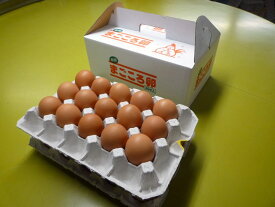 定期購入まごころ卵　30個入り　（割れ保証8個含む)M〜Lサイズ