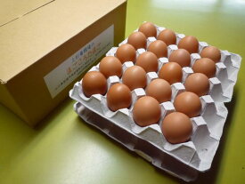 定期購入まごころ卵　40個入り　（割れ保証10個含む)M〜Lサイズ