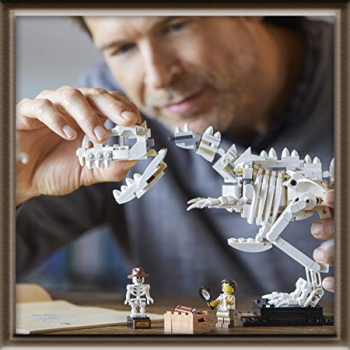 楽天市場】レゴ(LEGO) アイデア 恐竜の化石 21320 : MagonoHands