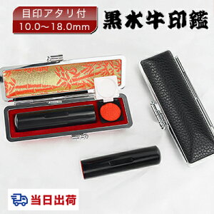 y o  ӁE͂/ /s/F/[ɏEc]   10Nۏ ŒZo l nR 񂩂 AEj ӃZbg ڈty ڈt