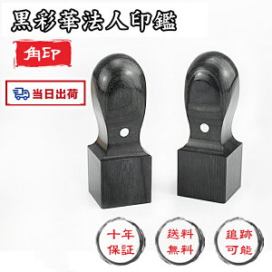 yyΉEoׁz12 [  10Nۏ ؐ Ј ypzʉ؈ӁEАݗE @l Ј  ͂ ʉ @l lƎ  