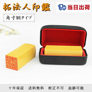 yyΉEoׁz12 [ 10Nۏ Ј ypz ӁEАݗE @l Ј  ͂ сiAJlj @lӁ@p/i/搶 p18.0-24.0m