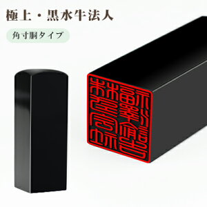 y10Nۏ؁zЈ ypzӁEАݗE @l Ј  ͂  @lӒPi lƎ Ӂ@p/i/搶 p18.0-24.0mmy p18.0-