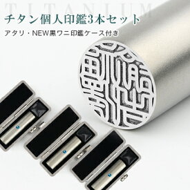 送料無料 印鑑 ブラスト チタン印鑑 3本セット アタリ・印鑑ケース付き サイズ10.5mm-18.0mm対応 個人用 認印 銀行印 実印 はんこ 名前 判子 ハンコ 銀色チタン 男性 女性 ハンコ プレゼント【シルバー ブラストチタン 印鑑3本セット アタリ・ケース付】ネコポス発送