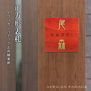 yzg\D Ap[g \D }V\D `\D  phbN AFRICAN PADAUK l[v[g  Ap[g[U[@jXdグ ؐ\D`\D  Ap