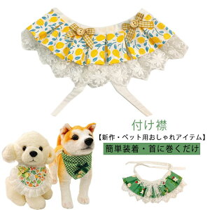 t݃ybgpX^CCk`FbNt悾ꂩOpXJ[tԕꂩ킢lR[X^^񌳃ANZT[LybgObYybgpBe