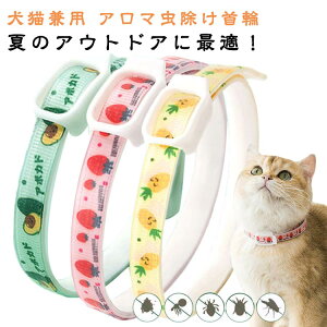 LplbNXꌢLpiCybgObY悯킢Vv֌yʐ􂢉\ANZT[p֏^^^UAEghA