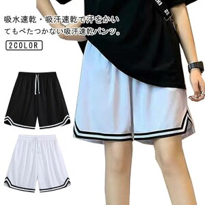 oXpYV[gpc2ZbgIoXPpcn[tpcLbY`[EFAfB[X^X|[cEFAg[jOZp؃gX|[cĉ^̈Ց傫TCYE