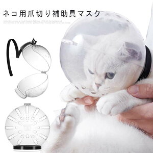 Lp}YEHh~LEHh~eܐ؂⏕pybg}XNLp}XNLփlR˂ܐ؂⏕ybgV[rߖh~݂h~|FwbhMA