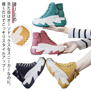 fB[XfB[XϖՌXj[J[~ߌCnCJbgfB[XCV[YJWAꏗXj[J[ʋCQrʊw