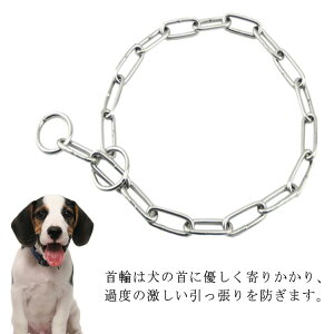 `F[xWAE}mAփXeX2{ZbgIPpֈ肵pPpi^ȒP^2{ZbgIPpփS[fgo[bgC[Č