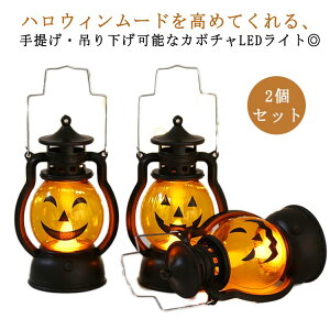 Cg2ZbguOJ{`nEB񓔏AeB[NC~l[VCeACgledLEDCg֑nEBtU񂰒݂艺ԐڏƖ2ZbgC